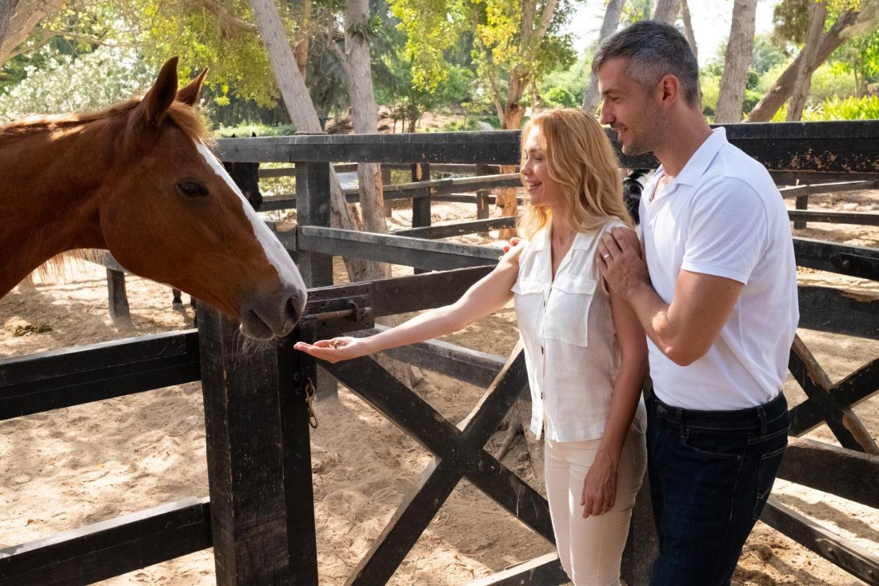 Ja Beach Hotel, Dubai Bagian luar foto Visitors at the ranch
